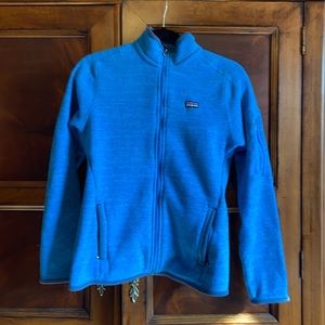 Blue Patagonia Better Sweater
